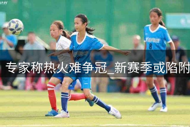 专家称热火难争冠 新赛季或陷附加赛漩涡
