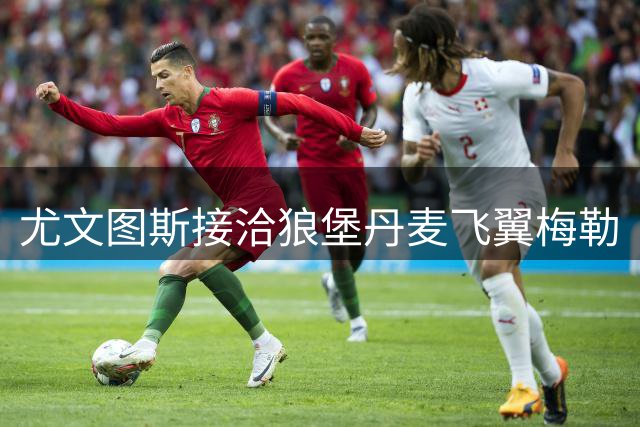 尤文图斯接洽狼堡丹麦飞翼梅勒